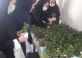 اهداء گلدان گل به بانوان شاغل شرکت ایساکو