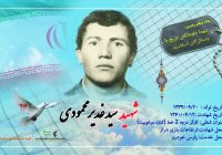 شهید والامقام سید قدیر محمودی شهید والامقام سید قدیر محمودی